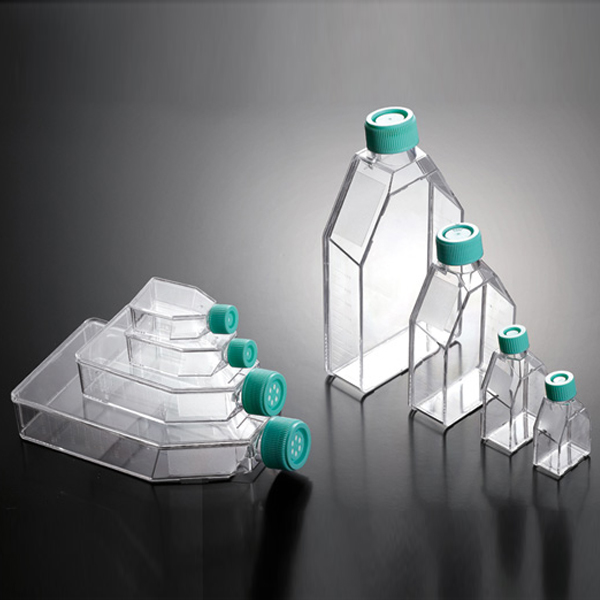 Biosigma CLEARLine 131010C fiasca colture 175 cm2 40 pz sterile
