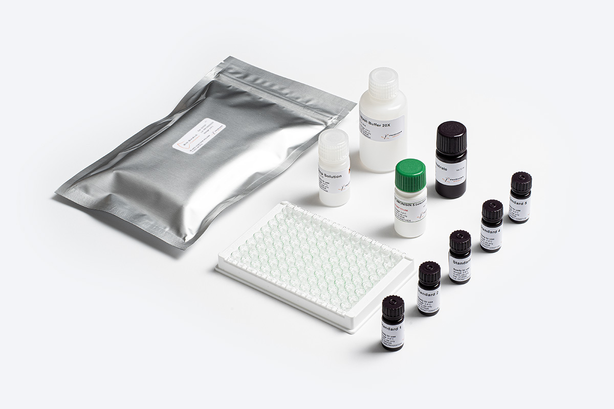Prognosis Biotech Bio-Shield Fumonisin 5 test