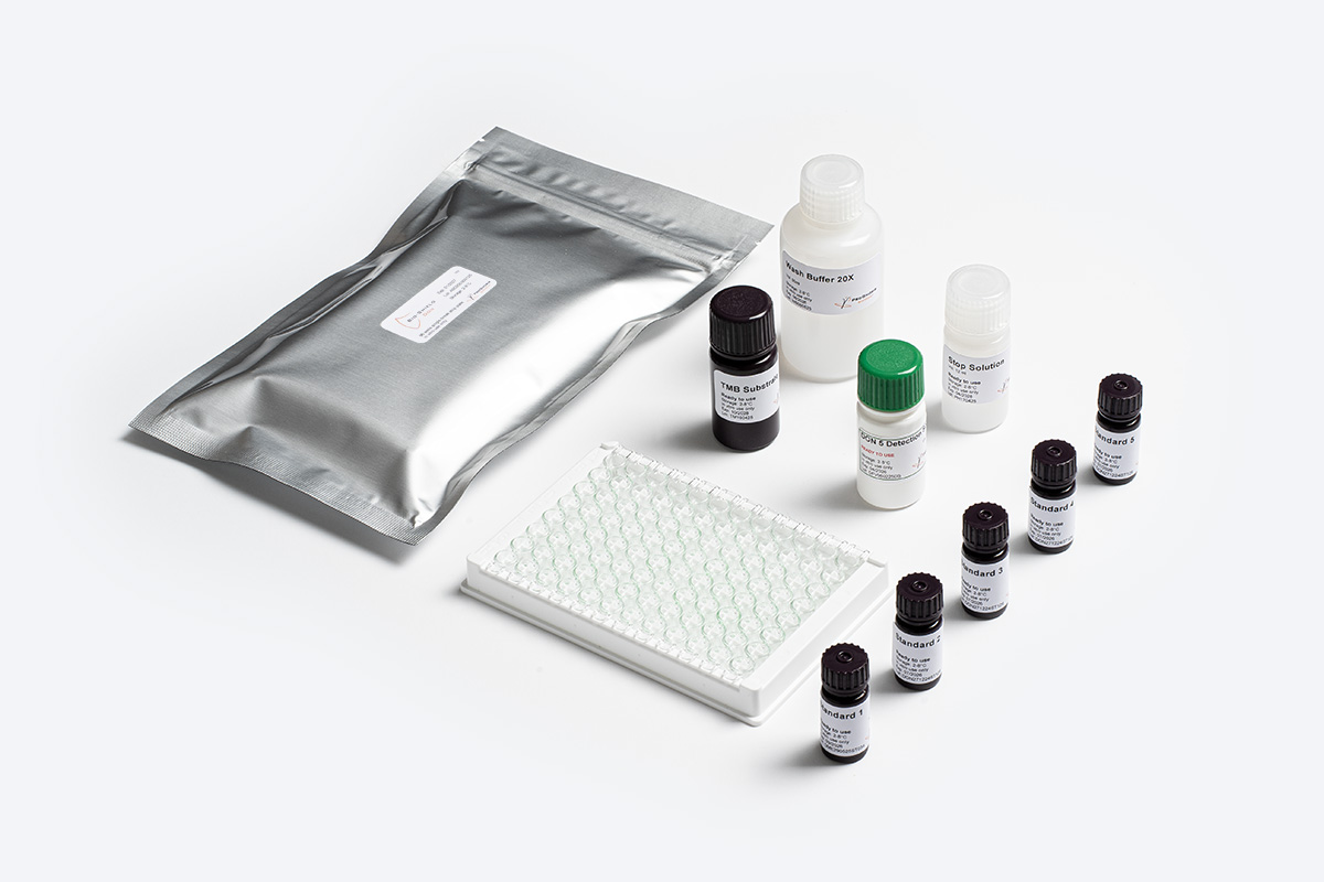 Prognosis Biotech Bio-Shield DON 5 kit ELISA