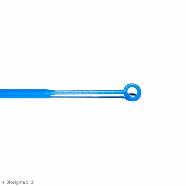 Biosigma BSV120 anse sterili 10 µl PP 20 pezzi