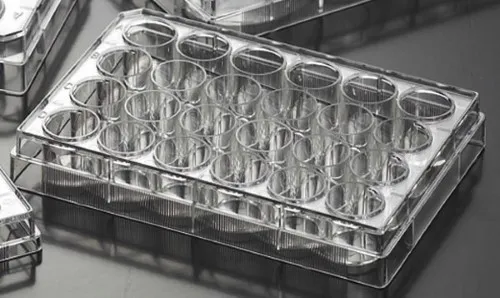 Biosigma CLEARLine 131020C piastra 24 pozzetti sterile x100