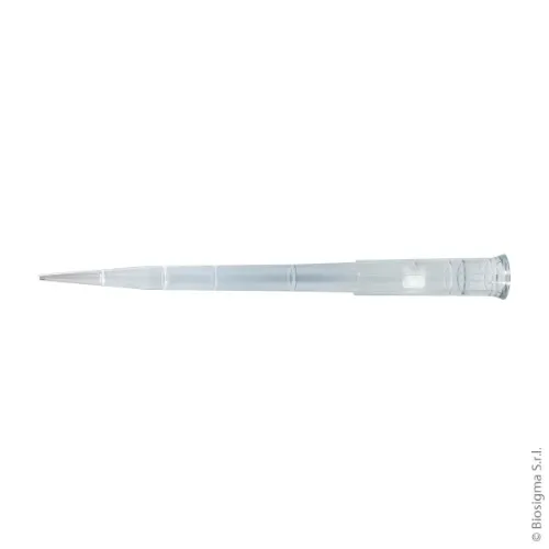 Biosigma ClearLine 130510CL puntali filtro 300 µl sterili 960 pz