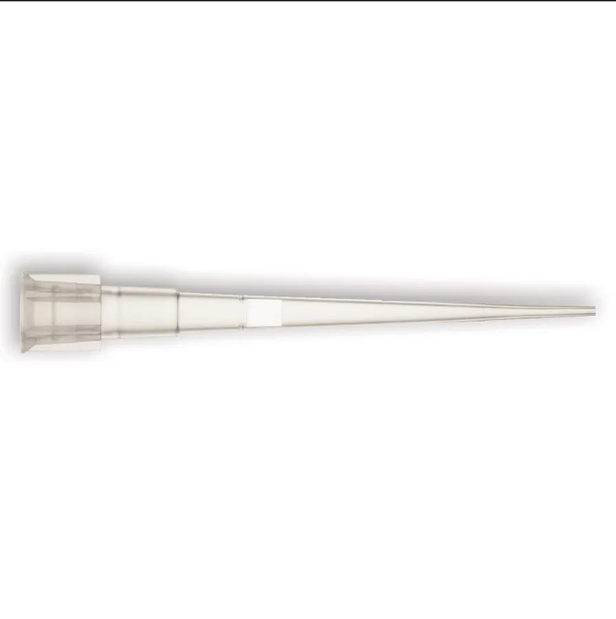 Biosigma Clearline 015020CLH puntali con filtro universali