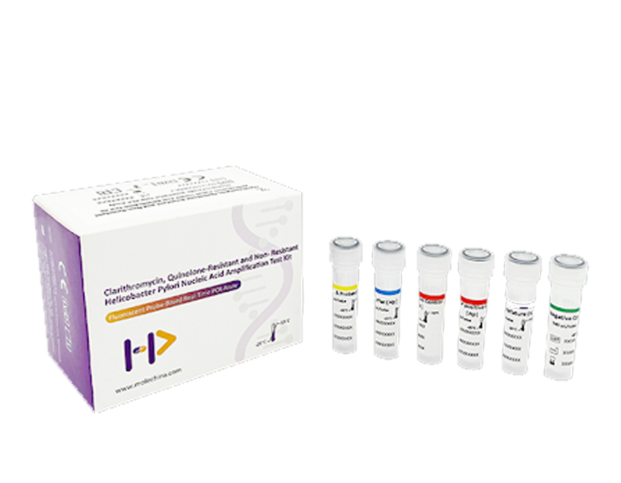 AB Analitica REALQUALITY H. Pylori and Multi-Antibiotic Resistance kit PCR