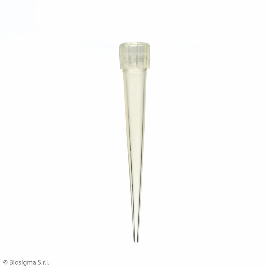 Biosigma BSR011 puntale giallo 5-100 µl tipo Eppendorf