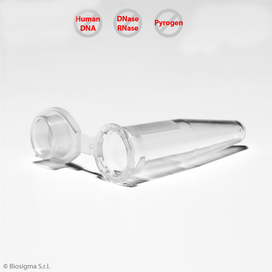 Biosigma Clearline CL022 microprovette 1,5 ml neutre 1000 pz
