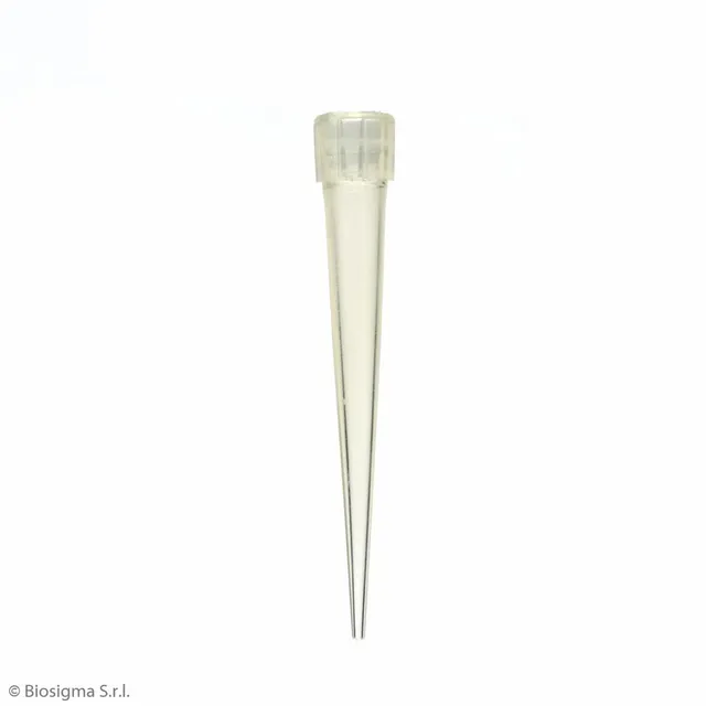 Biosigma BSR011 puntale giallo 5-100 µl tipo Eppendorf