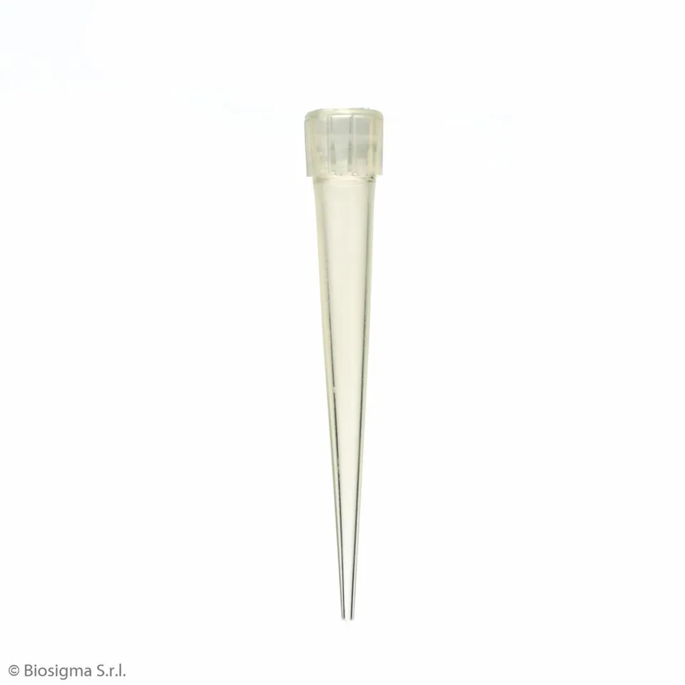 Biosigma BSR011 puntale giallo 5-100 µl tipo Eppendorf