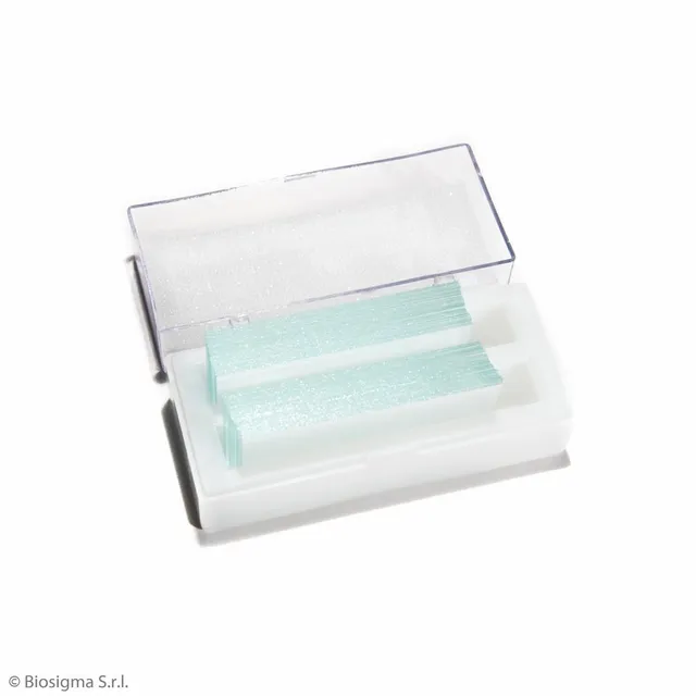 Biosigma VBS650 vetrini coprioggetto 24x50 mm vetro