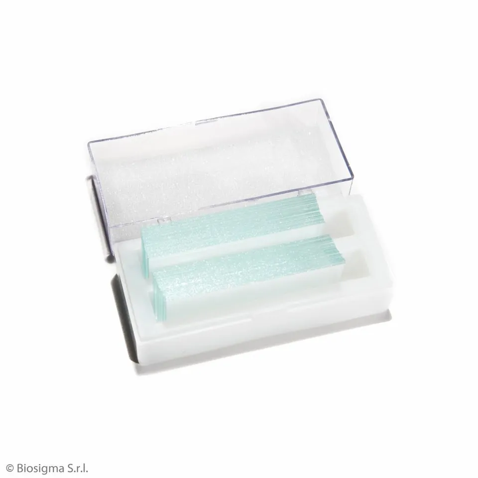 Biosigma VBS650 vetrini coprioggetto 24x50 mm vetro