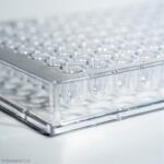 Biosigma piastra 96 pozzetti polistirene trasparente sterile