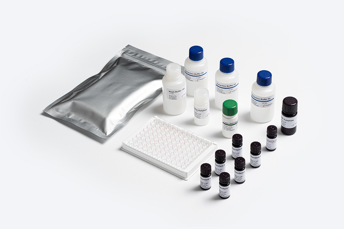 Prognosis Allergen-Shield Lupin test allergene lupino alimentare