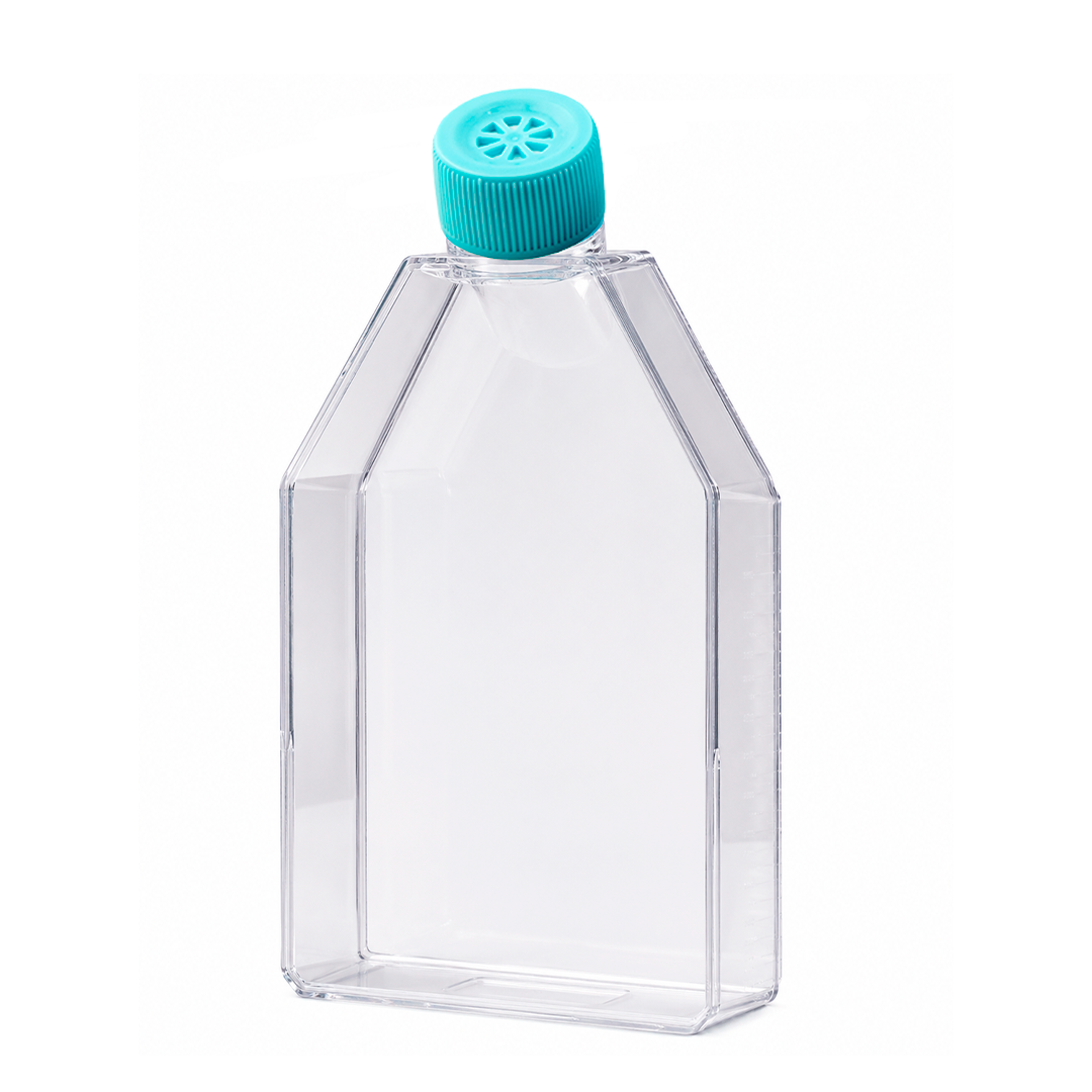 Biosigma CLEARLine CL203 fiasca 225 cm2 tappo filtrante 5 pz