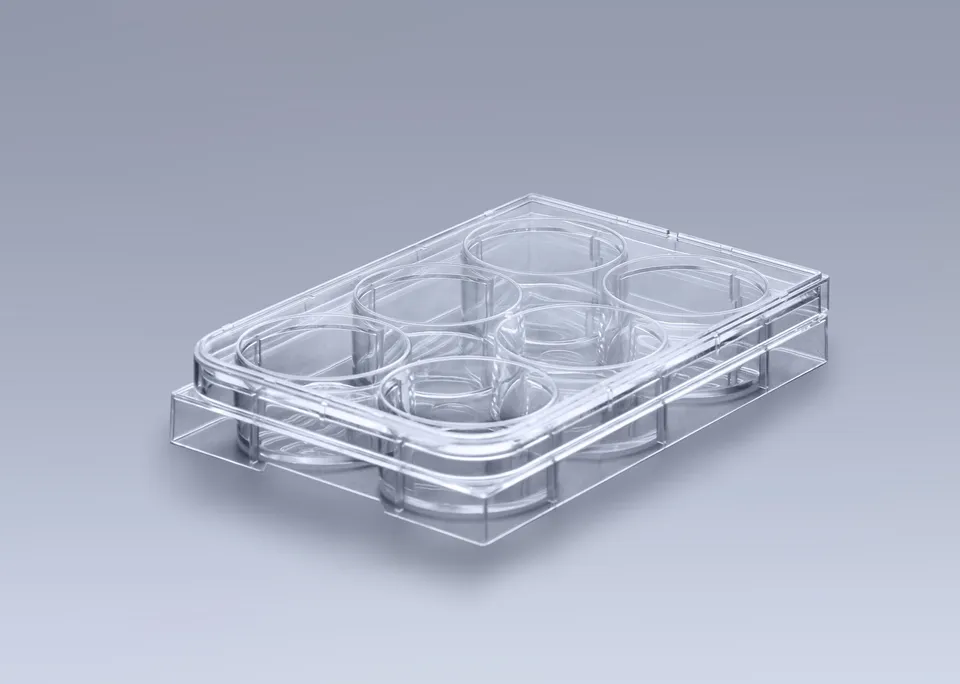 Biosigma ClearLine CL300NT piastra 6 pozzetti non trattata