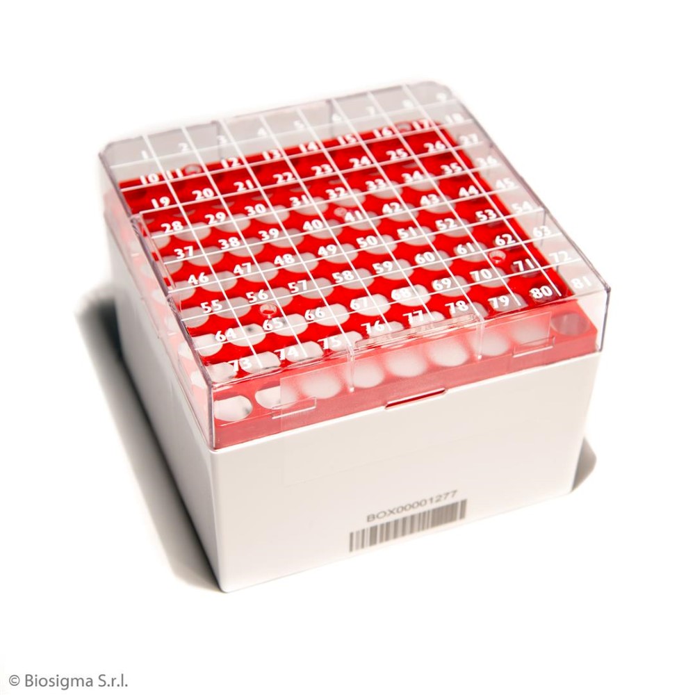 Biosigma CryoGen BSM58071B1D/RO criobox 81 posti rossa