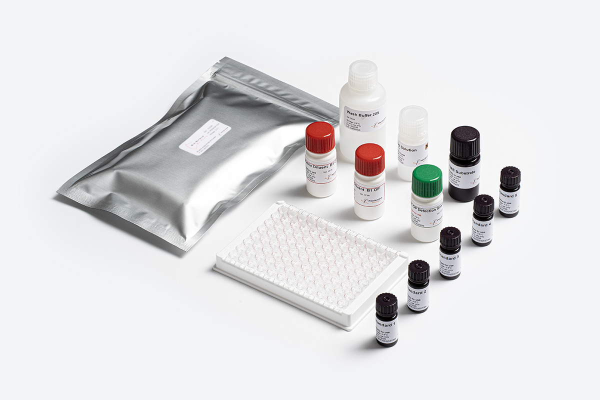 Prognosis Bio-Shield Aflatoxin B1 OP kit ELISA performance