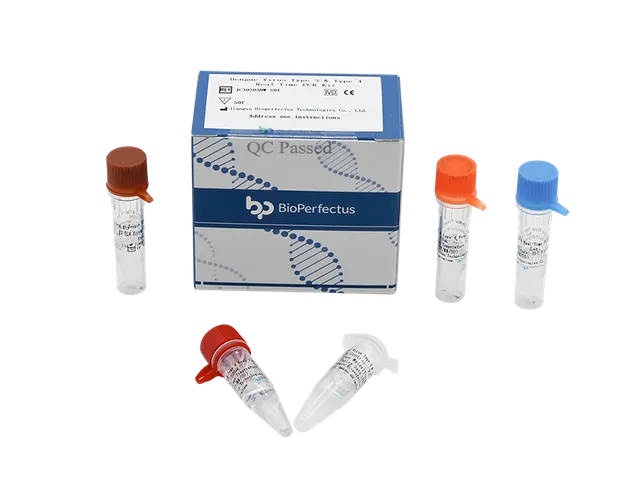 AB Analitica RealQuality Dengue Virus 1 e 2 kit PCR real time