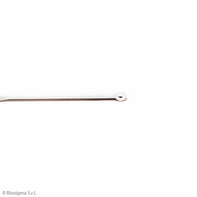 Biosigma BSV121 ansa inoculo 1 µl PP sterile 20 pz