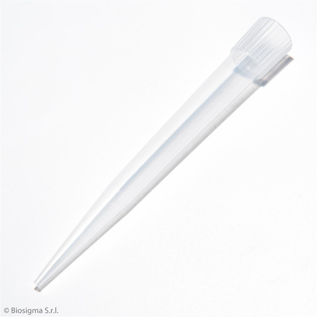 Biosigma BSR080 puntale 1000-5000 µl neutro