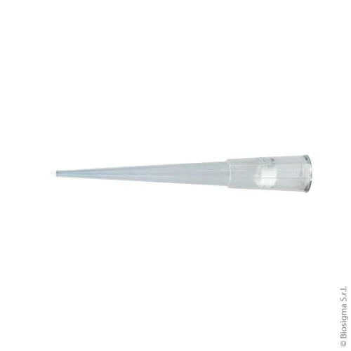 Biosigma ClearLine 014220CL puntali filtro 200 µl 960 pezzi