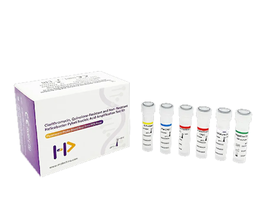 AB Analitica REALQUALITY H. Pylori and Multi-Antibiotic Resistance kit PCR