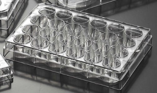 Biosigma CLEARLine 131020C piastra 24 pozzetti sterile x100