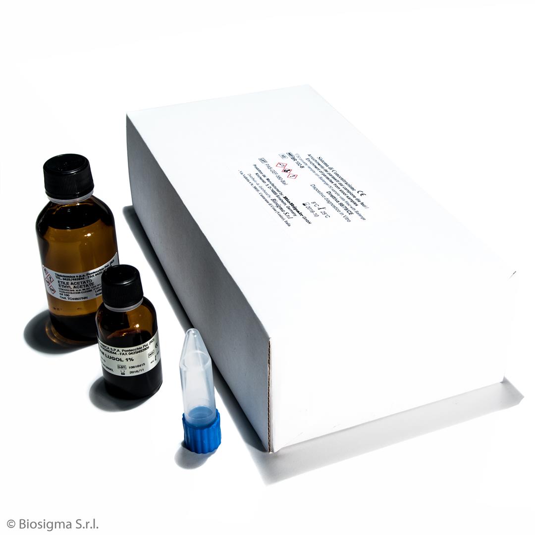 Biosigma BSD855/E kit fecale parassitologico con filtro