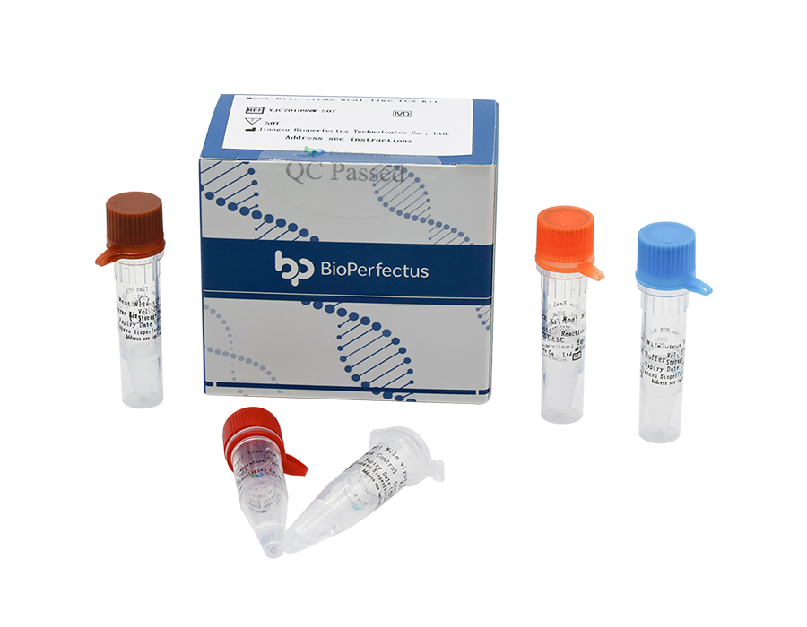 AB Analitica REALQUALITY West Nile Virus kit PCR real time