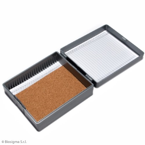 Biosigma BSL277 scatola portavetrino 50 posti ABS 3x20x8 cm