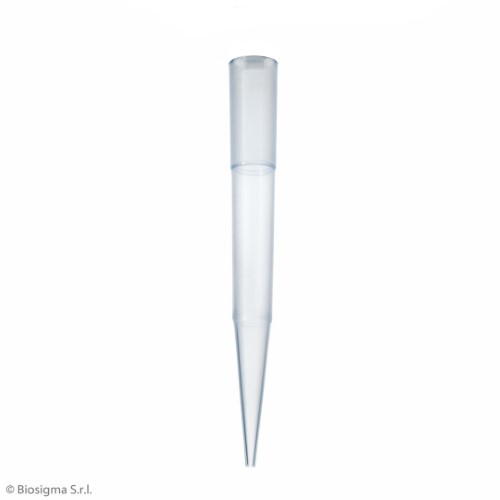 Biosigma BSR007 puntali blu 100-1000 µl Oxford