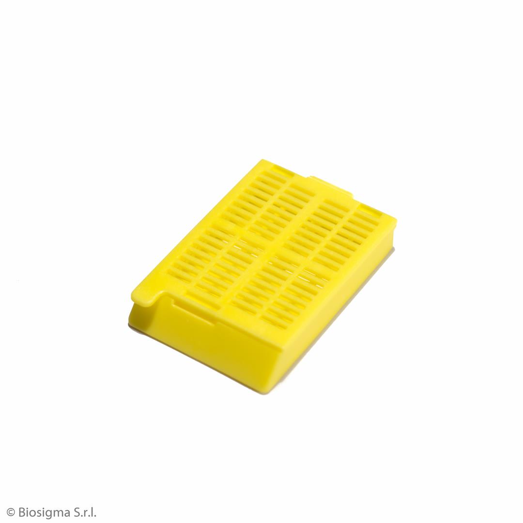 Biosigma BSI1022 cassette inclusione gialle POM