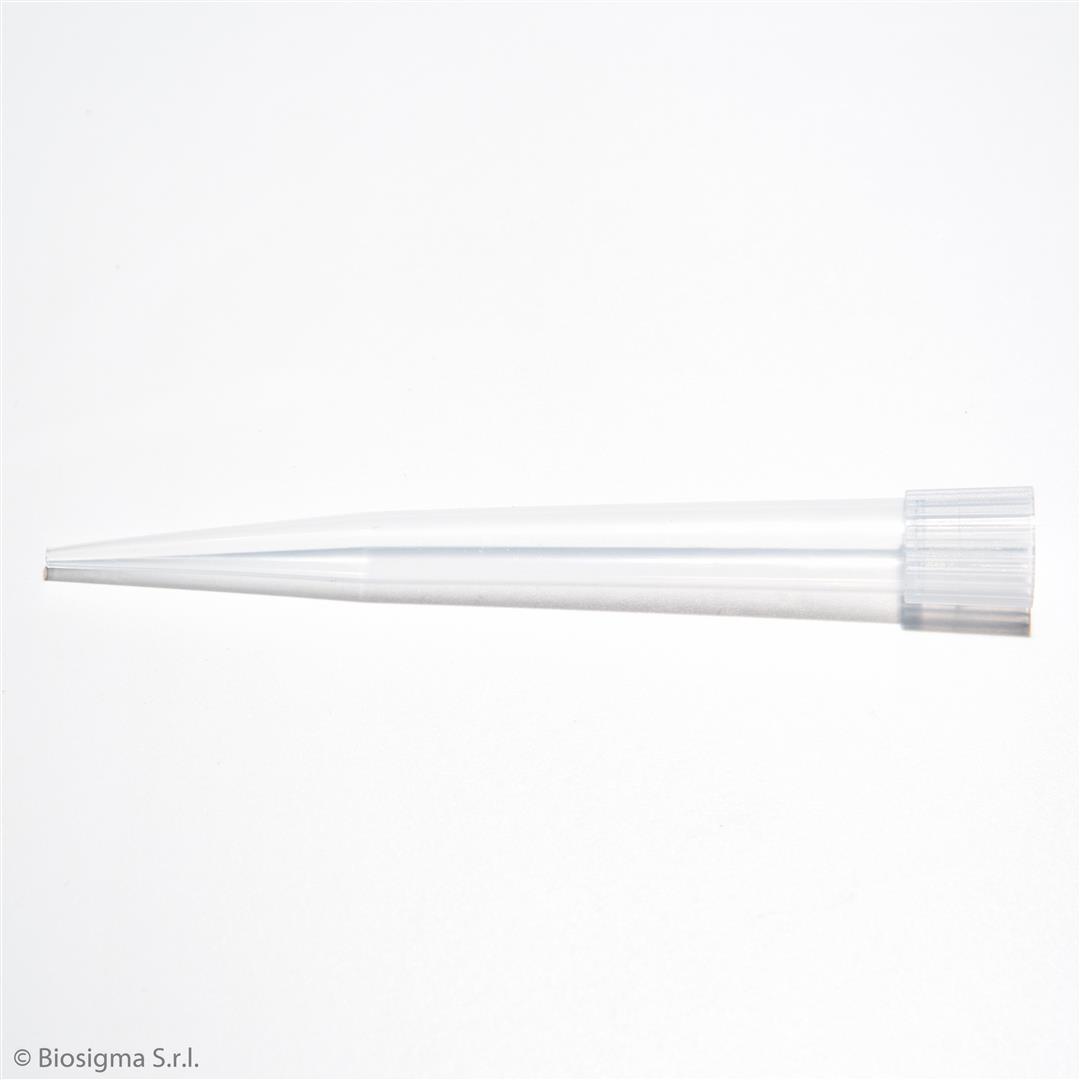 Biosigma BSR080 puntale 1000-5000 µl neutro