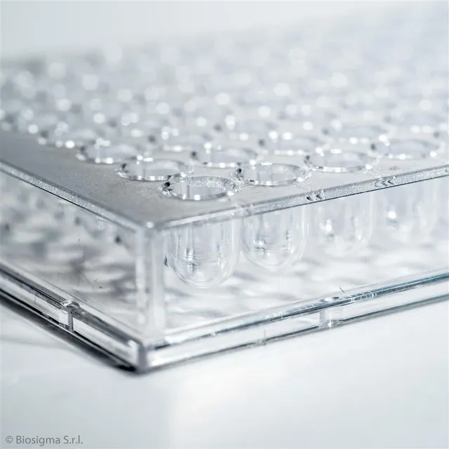 Biosigma BSD010 micropiastra 96 pozzetti fondo U sterile