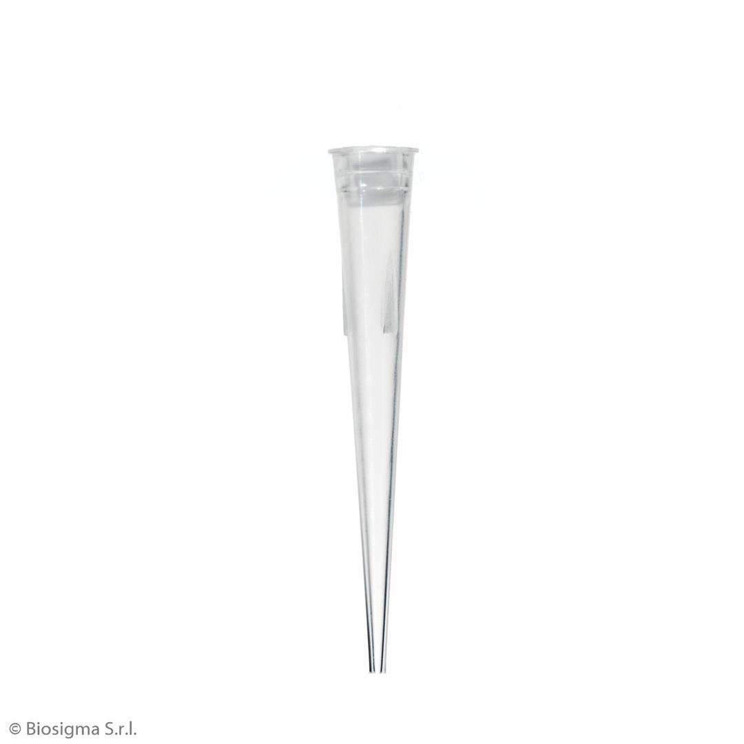 Biosigma BSR018 puntali pipetta MLA 10-200 µL sterili 5 pz