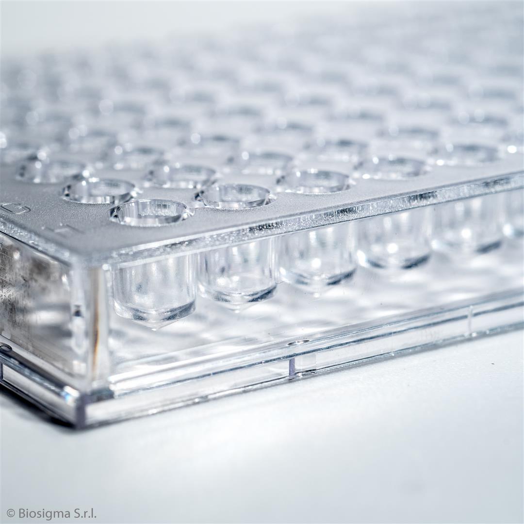 Biosigma BSD002 micropiastra 96 pozzetti fondo V singola
