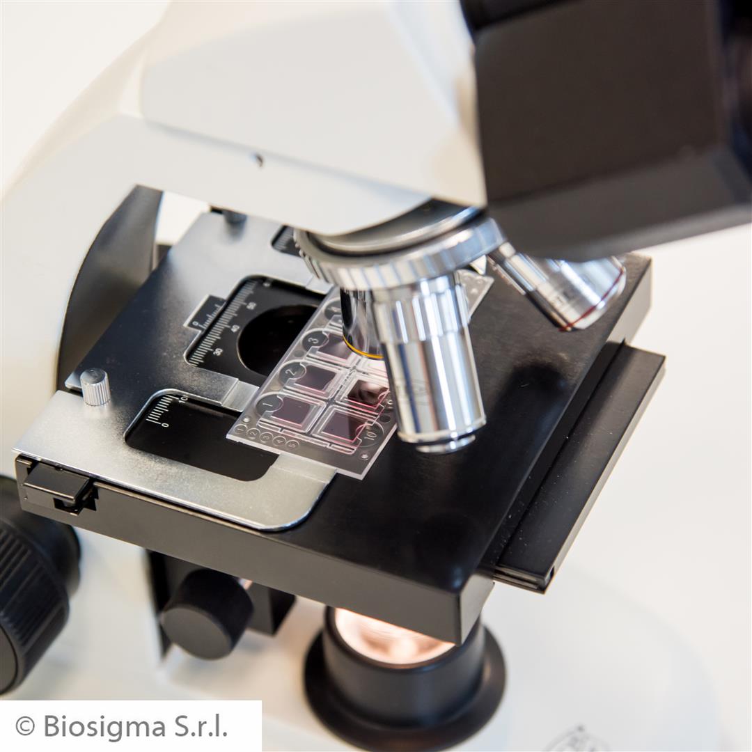 Biosigma Fast-Read 102 BVS100 kit urine 1000 determinazioni