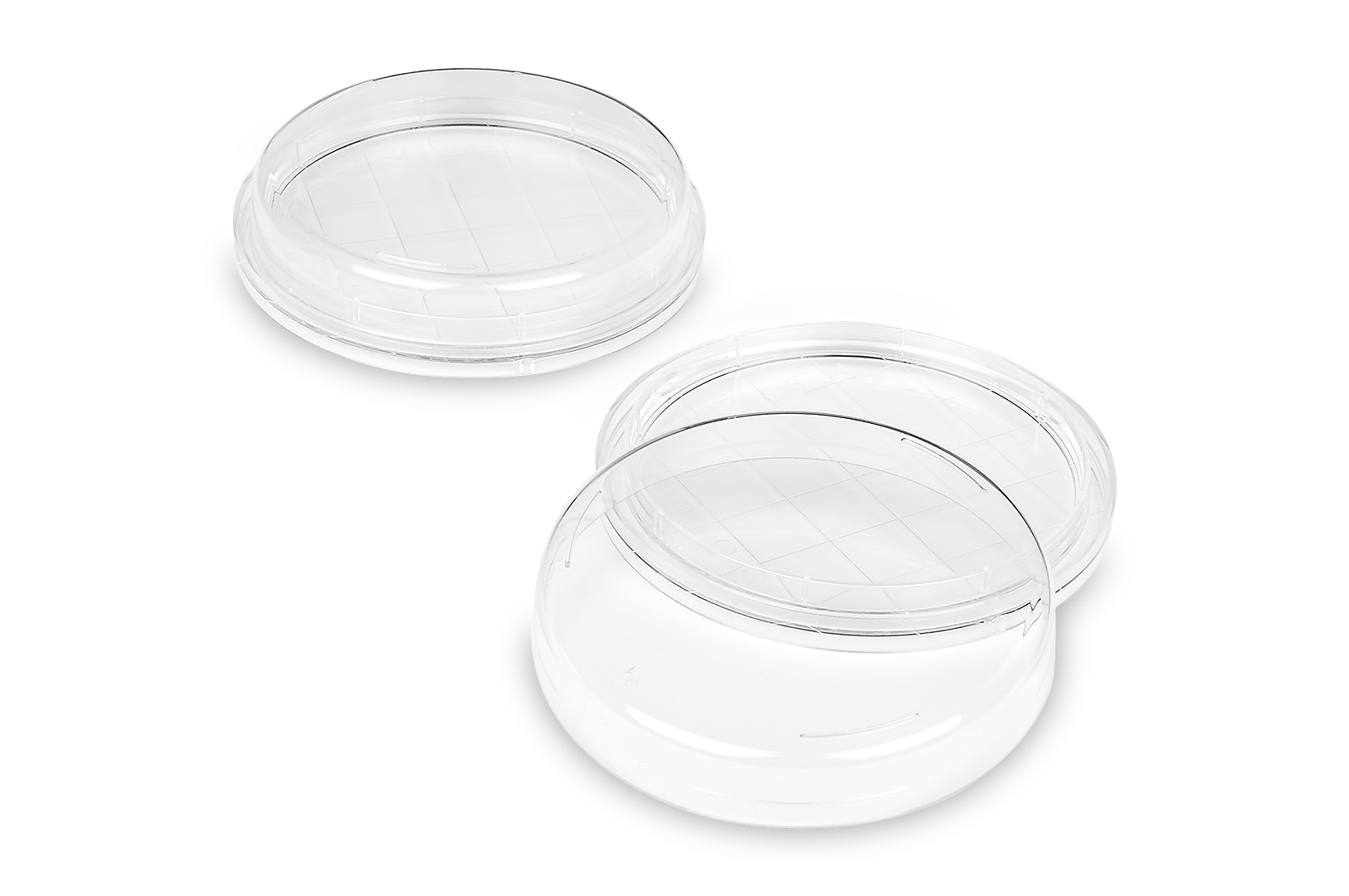 FL Medical Promed 29070 piastra Petri contact 55 mm 10 pezzi