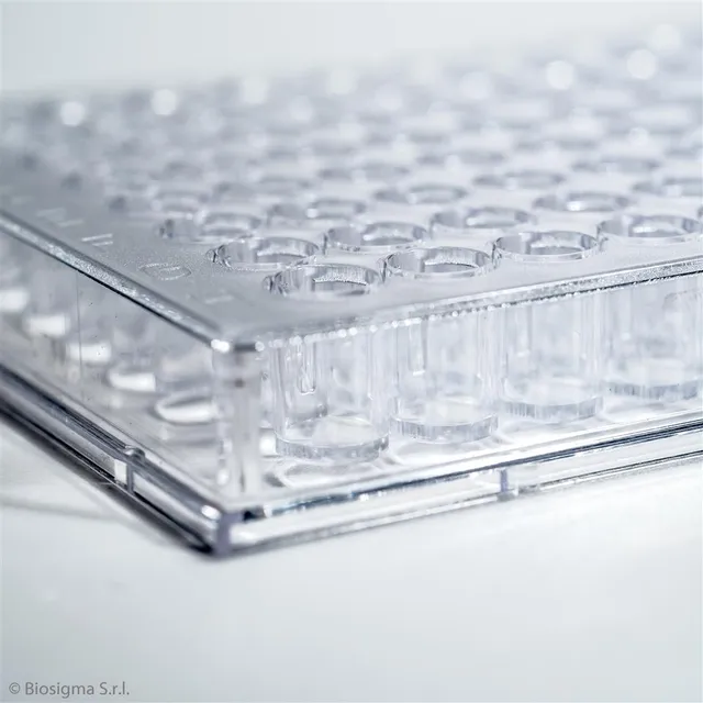Biosigma BSD012 micropiastra 96 pozzetti fondo piatto sterile