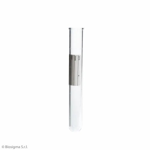 Biosigma BSP077 provetta 5 ml polistirene graduata