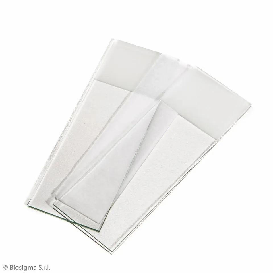 Biosigma VBS654/A vetrini 26x76 mm doppia banda smerigliata
