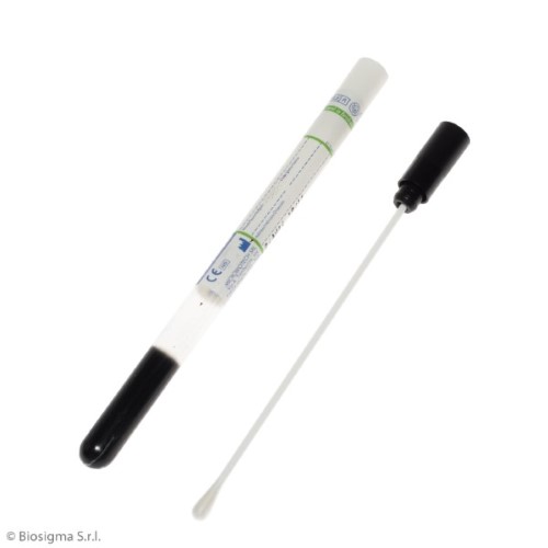 Biosigma BSM004 tampone sterile Amies carbone bastoncino