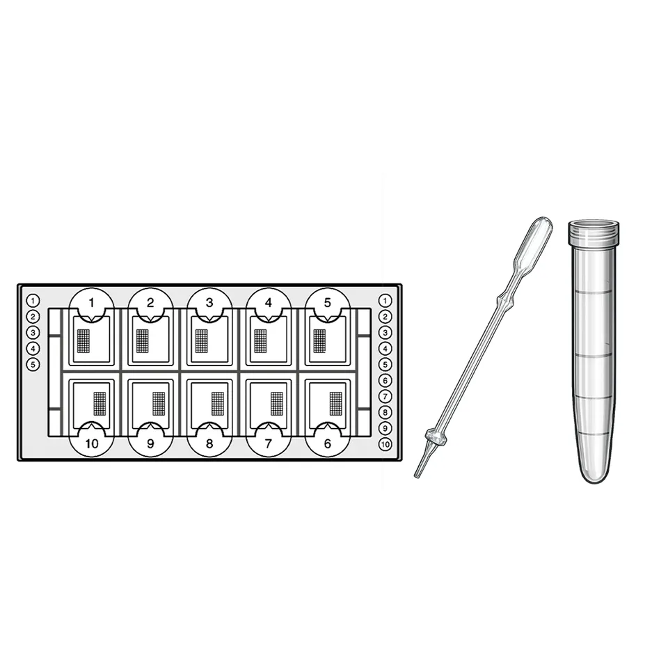 Biosigma BVS1715 kit lettura urine 10 ml 1000 determinazioni
