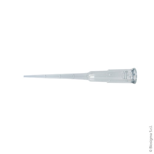 Biosigma ClearLine 038000CL puntali con filtro sterili 960 pezzi