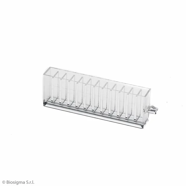 Biosigma BSP300 cuvette metacrilato 12 pozzetti rack 30 pezzi