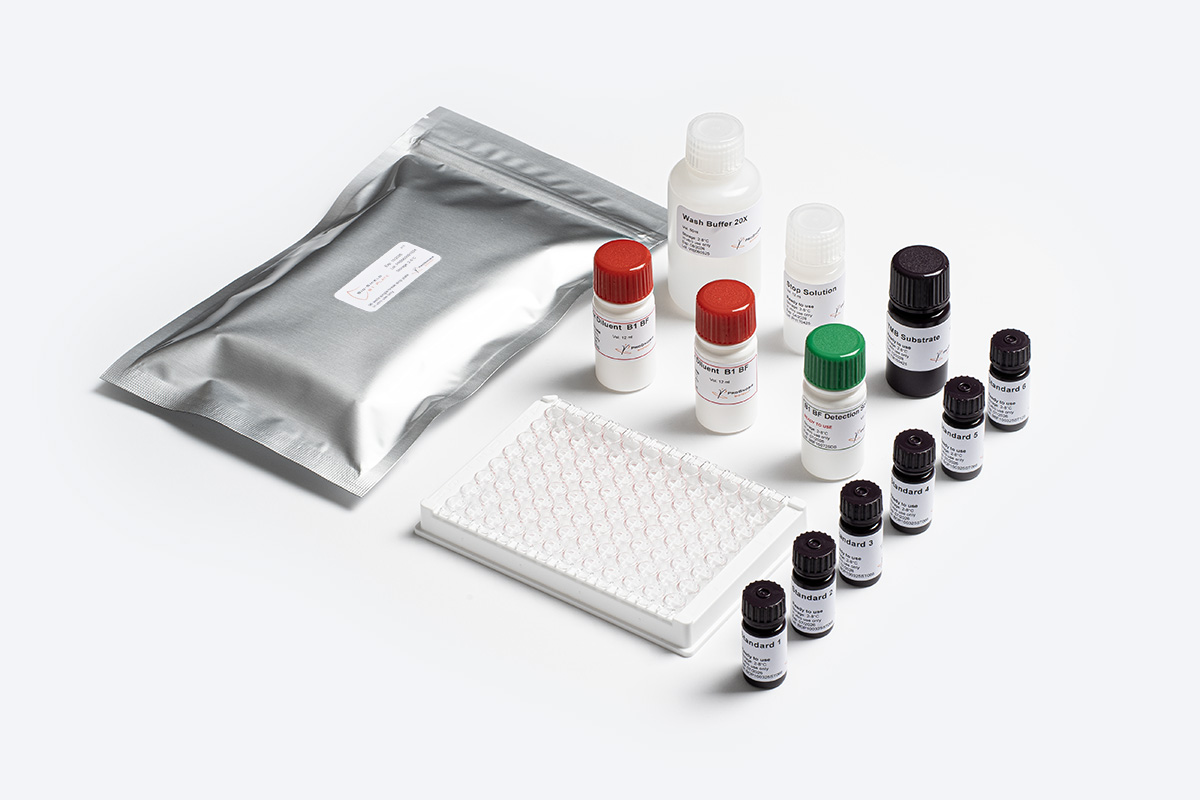 Prognosis Bio-Shield Aflatoxin B1 BF kit ELISA baby food