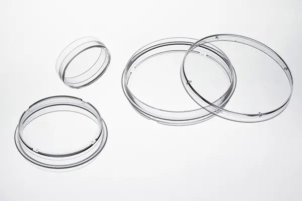 Biosigma ClearLine 131047C piastra Petri 60 mm trattata