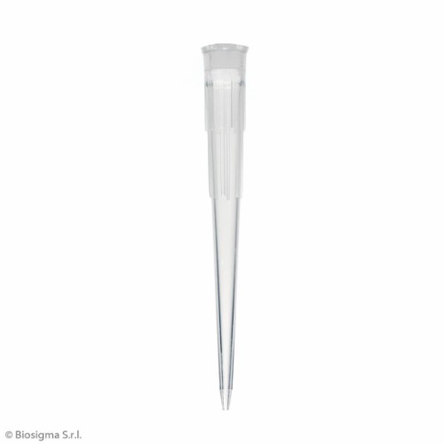 Biosigma BSR003 puntali micropipetta 10-200 µl Oxford short
