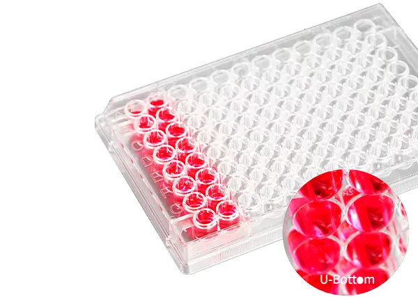 Biosigma CLEARLine CL305 piastra 96 pozzetti fondo tondo sterile