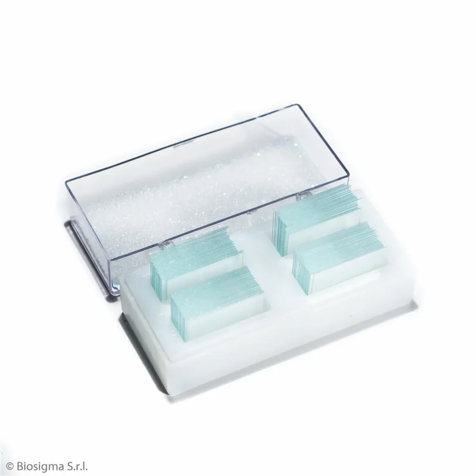 Biosigma VBS636 vetrino coprioggetto 22x22 mm