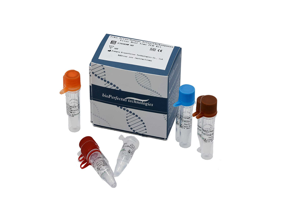 AB Analitica Realquality Zika Dengue Chikungunya kit PCR real time